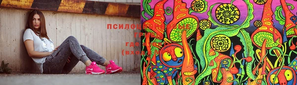 тгк Михайловск