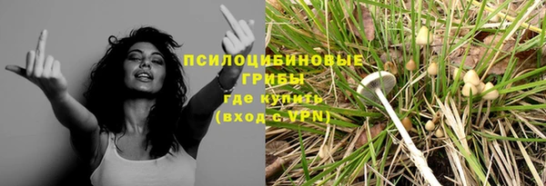 мдпв Михайловка